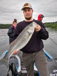 Top Water Striper