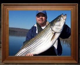 Lake Norfork Fishing Guide - Steve's Guide Service